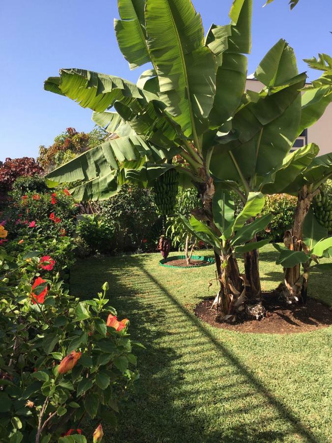 Willa La Quinta Garden Santa Úrsula Zewnętrze zdjęcie